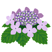 flower_gaku_ajisai.png