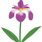 flower_syoubu.png