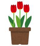 flower_tullip_hachiue-1.png